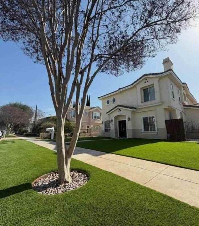 Front yard turf replacement in Encino